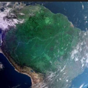 Tecnologia Impulsiona Conservação da Amazônia