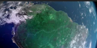 Tecnologia Impulsiona Conservação da Amazônia Tecnologia Impulsiona Conservação da Amazônia