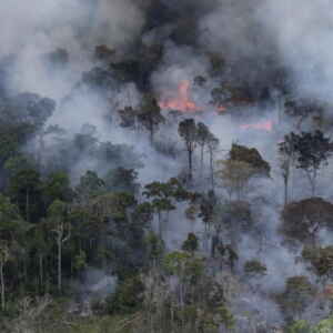 Estudo prevê possível colapso climático na Amazônia até 2050