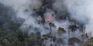 Estudo prevê possível colapso climático na Amazônia até 2050 Estudo prevê possível colapso climático na Amazônia até 2050