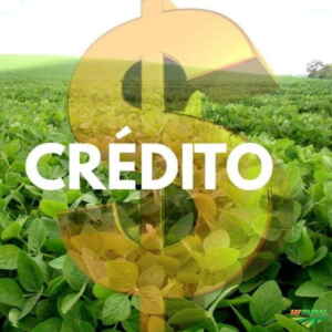 Empréstimo: Cooperativas de Crédito concorrem com bancos visando a safra 2023/24