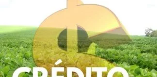 Empréstimo: Cooperativas de Crédito concorrem com bancos visando a safra 2023/24 Empréstimo: Cooperativas de Crédito concorrem com bancos visando a safra 2023/24