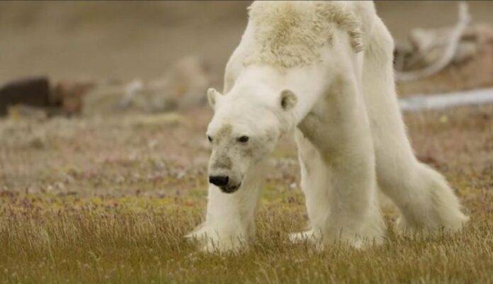 Captura de tela 2024-02-15 170846