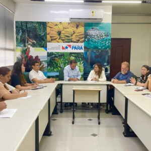 Reunião na Sedap Destaca Boas Práticas na Manipulação do Açaí
