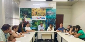 Reunião na Sedap Destaca Boas Práticas na Manipulação do Açaí Reunião na Sedap Destaca Boas Práticas na Manipulação do Açaí