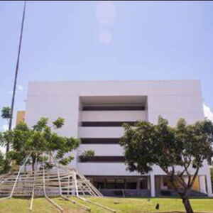 Novo Instituto de Ciência e Tecnologia visa sintetizar informações da biodiversidade amazônica