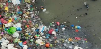 Relatório revela que a indústria do plástico enganou o público sobre a reciclagem Relatório revela que a indústria do plástico enganou o público sobre a reciclagem