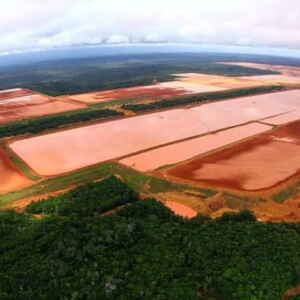 Mineração em Oriximiná: Impactos nas Comunidades Quilombolas e Ribeirinhas