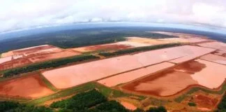 Mineração em Oriximiná: Impactos nas Comunidades Quilombolas e Ribeirinhas Mineração em Oriximiná: Impactos nas Comunidades Quilombolas e Ribeirinhas