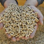 Nova política da UE de resgate do CO2 preocupa conservacionistas