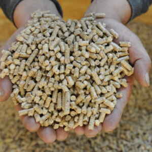 Nova política da UE de resgate do CO2 preocupa conservacionistas