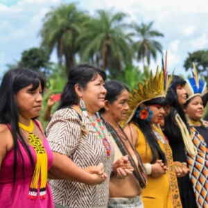 USP Busca Pós-Doutorado para Estudar Conhecimentos de Mulheres Indígenas