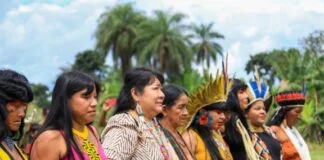 USP Busca Pós-Doutorado para Estudar Conhecimentos de Mulheres Indígenas USP Busca Pós-Doutorado para Estudar Conhecimentos de Mulheres Indígenas