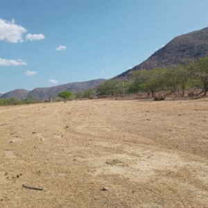 Microrganismos voltam ao solo através da recuperação de áreas degradadas no semiárido