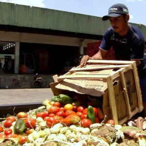 Estudo Orienta Como Diminuir o Desperdício de Alimentos