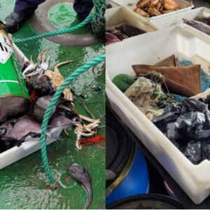 Estudo Avalia Lixo nas Profundezas do Oceano Brasileiro