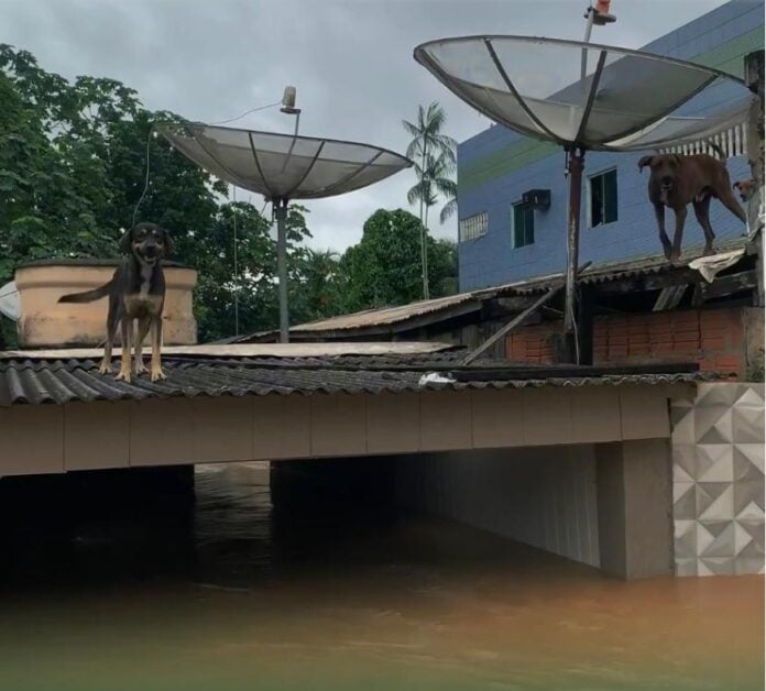 Captura de tela 2024-02-27 102835