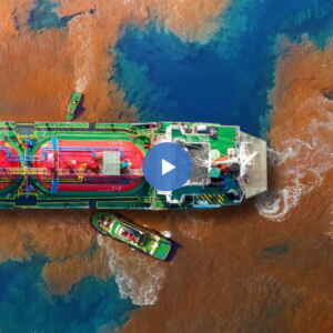 UE: Parlamento Aprova Criminalizar Gravidades de Destruição do Ecossistema