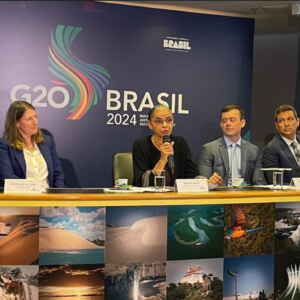 Governo lança estratégia para atrair investimento estrangeiro em projetos ecológicos