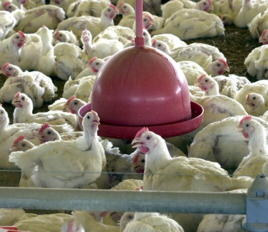 Captura De Tela 2024 02 28 152707