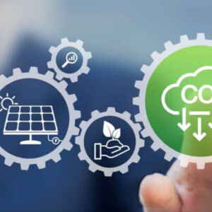 Banco Mundial busca certificar créditos de carbono florestais