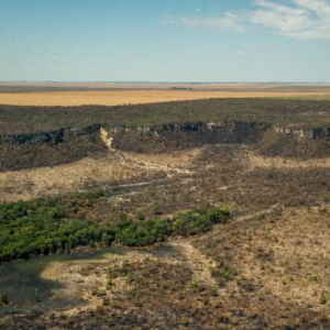 Instituto Aponta Redução de 48% no Desmatamento do Cerrado em Janeiro