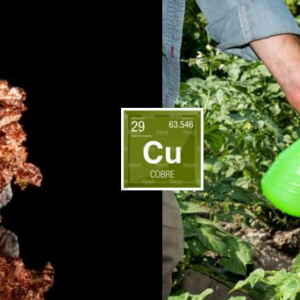 A influência do cobre na perspectiva do desenvolvimento econômico sustentável