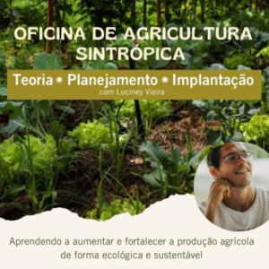 Aldeia Cabana tem instruído e intensificado agroflorestas na Amazônia