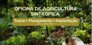 Aldeia Cabana tem instruído e intensificado agroflorestas na Amazônia Aldeia Cabana tem instruído e intensificado agroflorestas na Amazônia