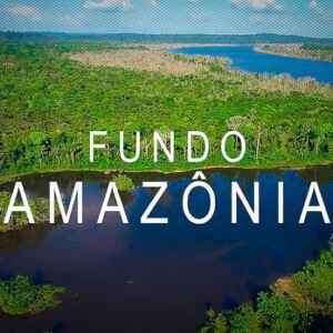 Fundo Amazônia Bate Recorde de Doações em 2023 Após Quatro Anos de Paralisação