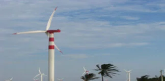 ONGs Propõem Medidas para Reduzir Impactos de Parques Eólicos no Nordeste ONGs Propõem Medidas para Reduzir Impactos de Parques Eólicos no Nordeste