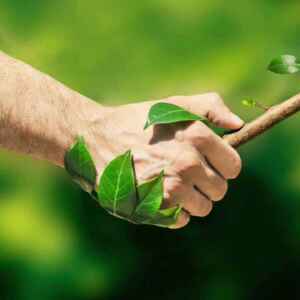 CEBDS e GIST unem-se a empresas para auxiliá-las na avaliação de impactos ambientais