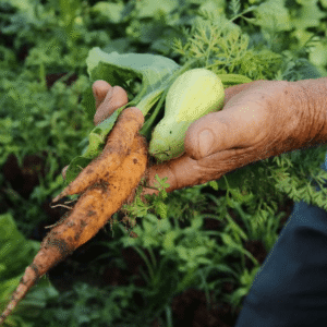 Lideranças indígenas se reúnem com técnicos da Conab