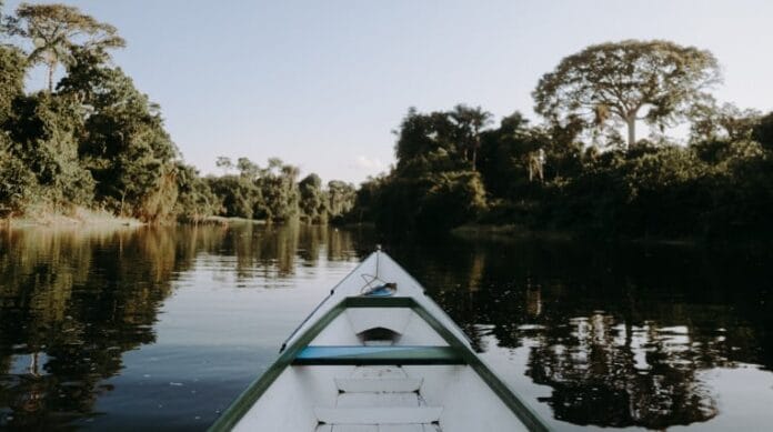 184221_26524b128a5828e320211fb18fa10d94