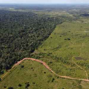 Governo Federal reafirma importância da desintrusão da Terra Indígena Alto Rio Guamá e faz alerta sobre notícias falsas