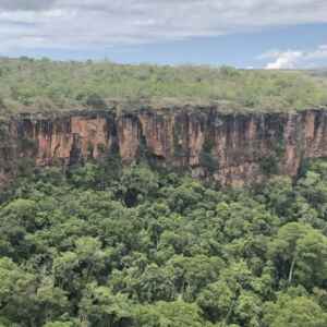 El Niño extremo desliga o sumidouro de carbono florestal da América do Sul