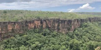 El Niño extremo desliga o sumidouro de carbono florestal da América do Sul El Niño extremo desliga o sumidouro de carbono florestal da América do Sul