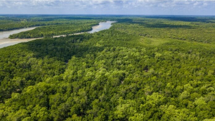 Captura de tela 2024-03-05 104756