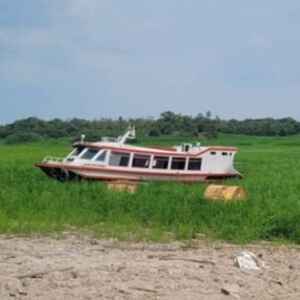 Pesquisa alerta: Amazônia pode se tornar seca e de vegetação rasteira