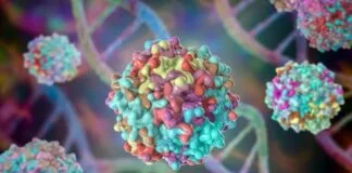 Entrega de medicamentos genéticos precisa de evolução direcionada Entrega de medicamentos genéticos precisa de evolução direcionada