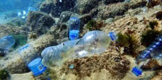 Lixo em Quantidade Significativa no Fundo do Mar Brasileiro Lixo em Quantidade Significativa no Fundo do Mar Brasileiro