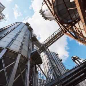 Levedura modificada na USP produz etanol 2G a partir de açúcares complexos