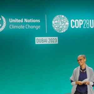 MMA lançará este ano o Conselho de Segurança Climática