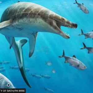 Encontrado fóssil de lagarto marinho da era dos dinossauros