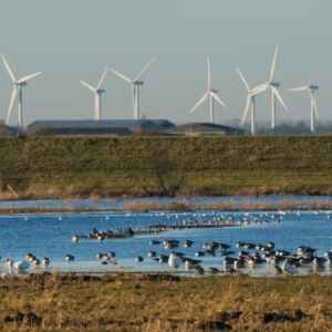 Da Europa, Reino Unido pouco investe em energia de baixo carbono