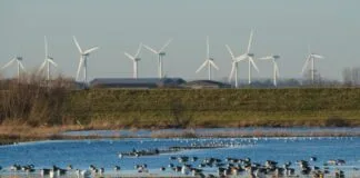 Da Europa, Reino Unido pouco investe em energia de baixo carbono Da Europa, Reino Unido pouco investe em energia de baixo carbono