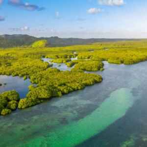 Brasil pode liderar mercado de carbono movendo US$ 50 bi até 2030