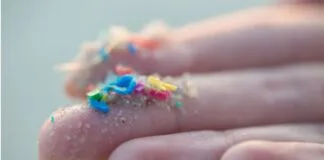 Microplásticos encontrados em artérias potencializam infarto e AVC Microplásticos encontrados em artérias potencializam infarto e AVC