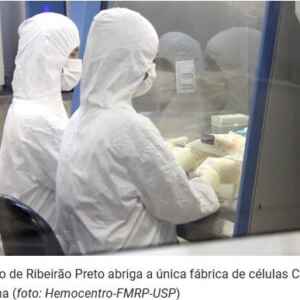 USP Iniciará Estudo Clínico de Terapia Celular Contra o Câncer