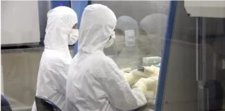 USP Iniciará Estudo Clínico de Terapia Celular Contra o Câncer USP Iniciará Estudo Clínico de Terapia Celular Contra o Câncer